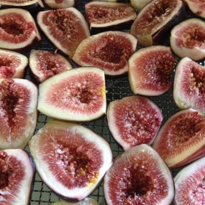 Fresh figs from our orchard